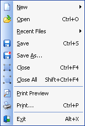 File Menu
