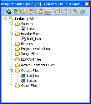 Project Manager Window